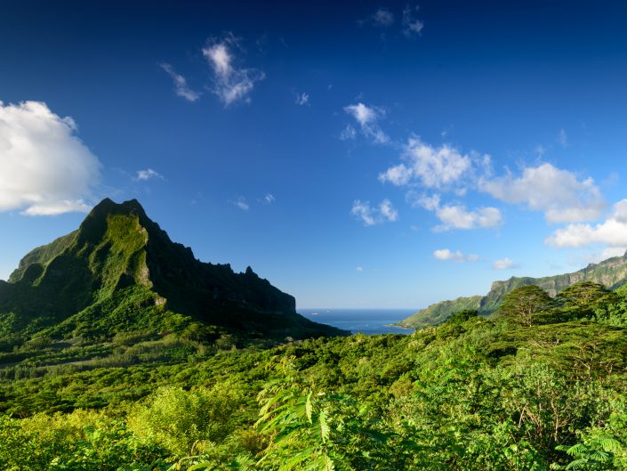 Moorea l'île coeur