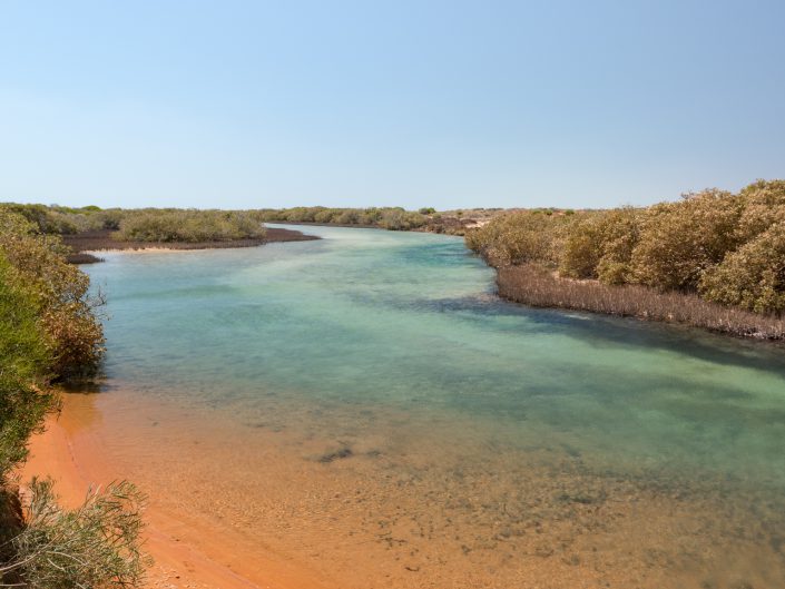 Shark Bay, WA